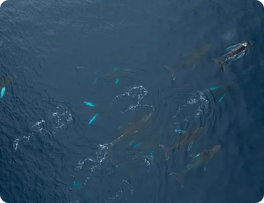 At sea